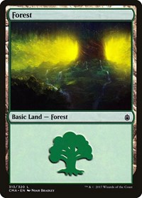Forest (313)
