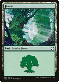 Forest (034)