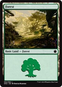 Forest (064)