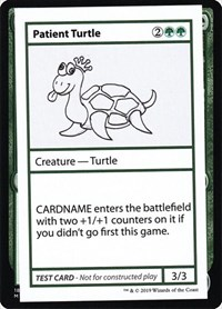 Patient Turtle (No PW Symbol)