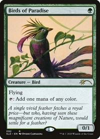 Birds of Paradise (92)