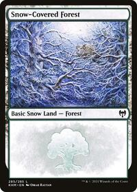 Snow-Covered Forest (285)