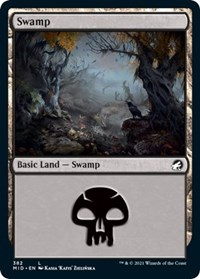 Swamp (382)