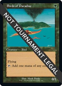 Birds of Paradise (Retro Frame)