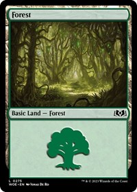 Forest (0275)