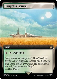 Sungrass Prairie (Extended Art)