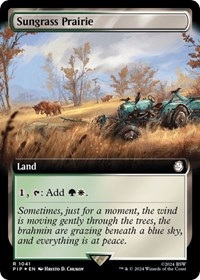 Sungrass Prairie (Extended Art) (Surge Foil)