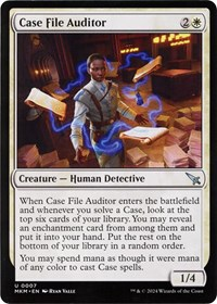 Case File Auditor (a)