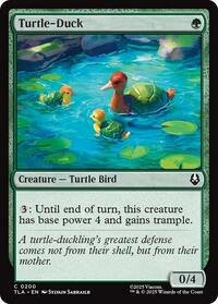 Turtle-Duck