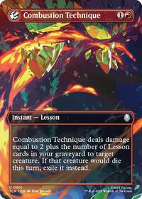 Combustion Technique (Borderless)