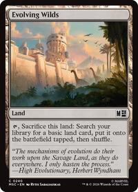 Evolving Wilds