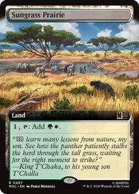 Sungrass Prairie (Extended Art)