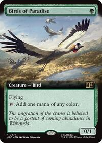 Birds of Paradise (Extended Art)