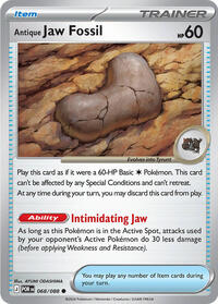 Antique Jaw Fossil